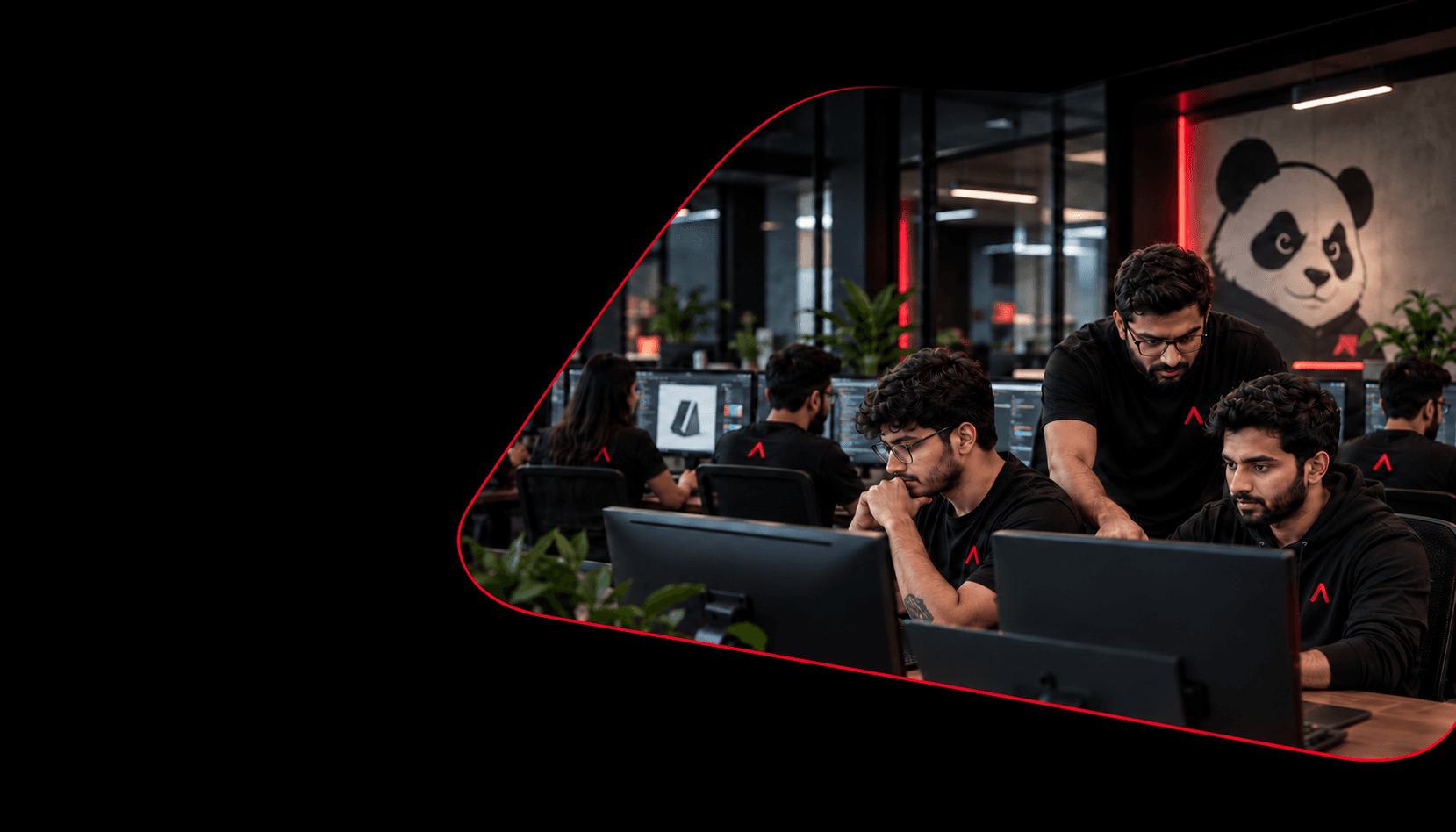 MEDSAL software development and support team